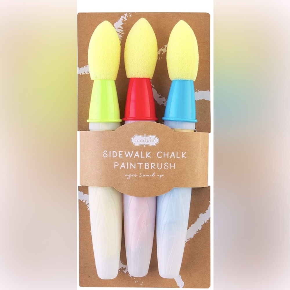 NEW! Mud Pie Paint‎ Brush Paint Set